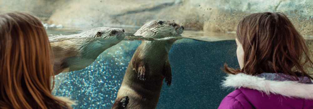 Wild About Winter Vacation Weeks Program At The Ecotarium 